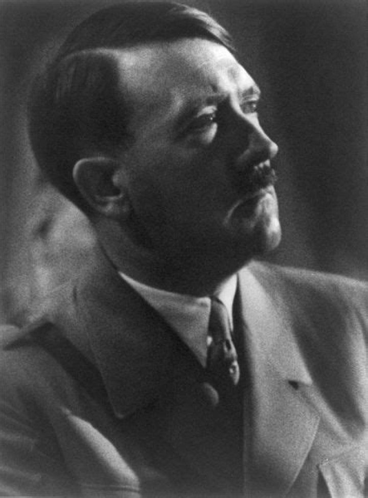 Hitler: The Ultimate, Political Villain